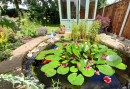 One picture from our virtual 'Open Gardens'